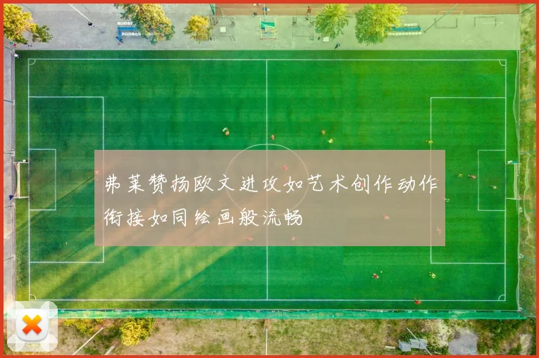弗莱赞扬欧文进攻如艺术创作动作衔接如同绘画般流畅
